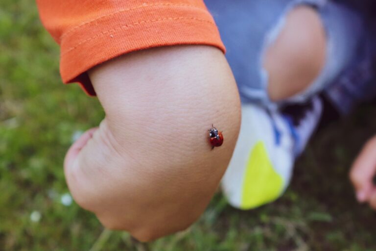 23 Awesome insect activities for bug loving toddlers