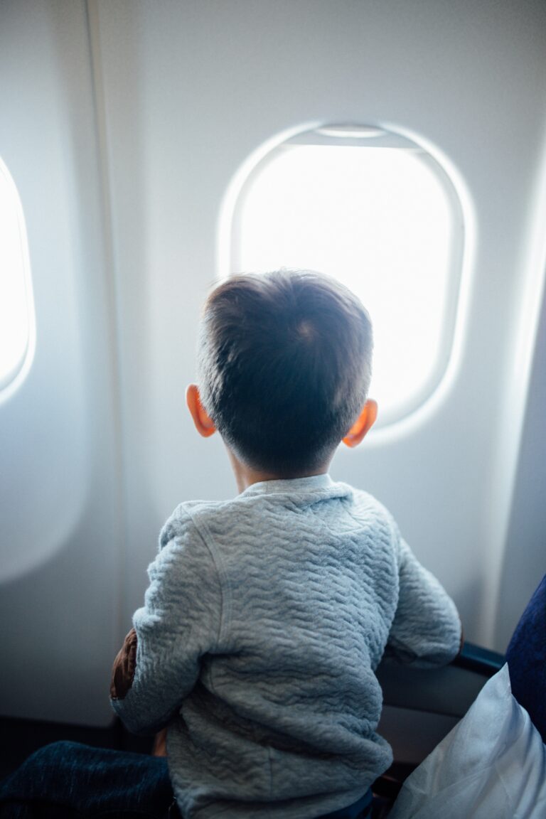 50+ Best Airplane Snacks And Tips For Kids Who Travel